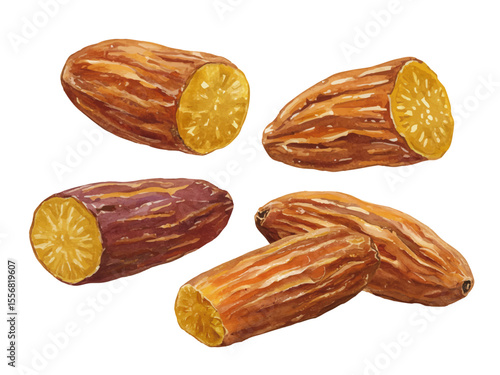 Vector watercolor dried sweet potato / 水彩テイストの干し芋イラスト
