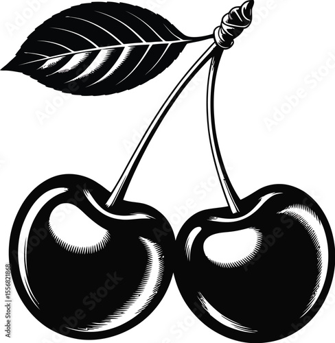 Two black cherries with a leaf on a white background illustration