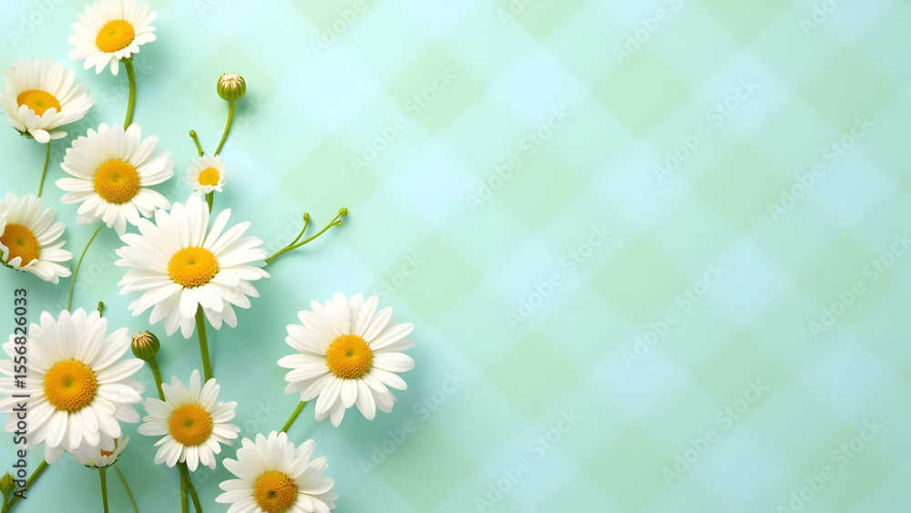 Obraz premium White Daisy Flowers on Light Green Checkered Background