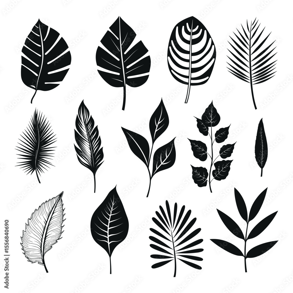 Botanical Silhouette Leaves Vector Set for Nature Designs Botanical Silhouette Leaves Vector Set for Nature Designs