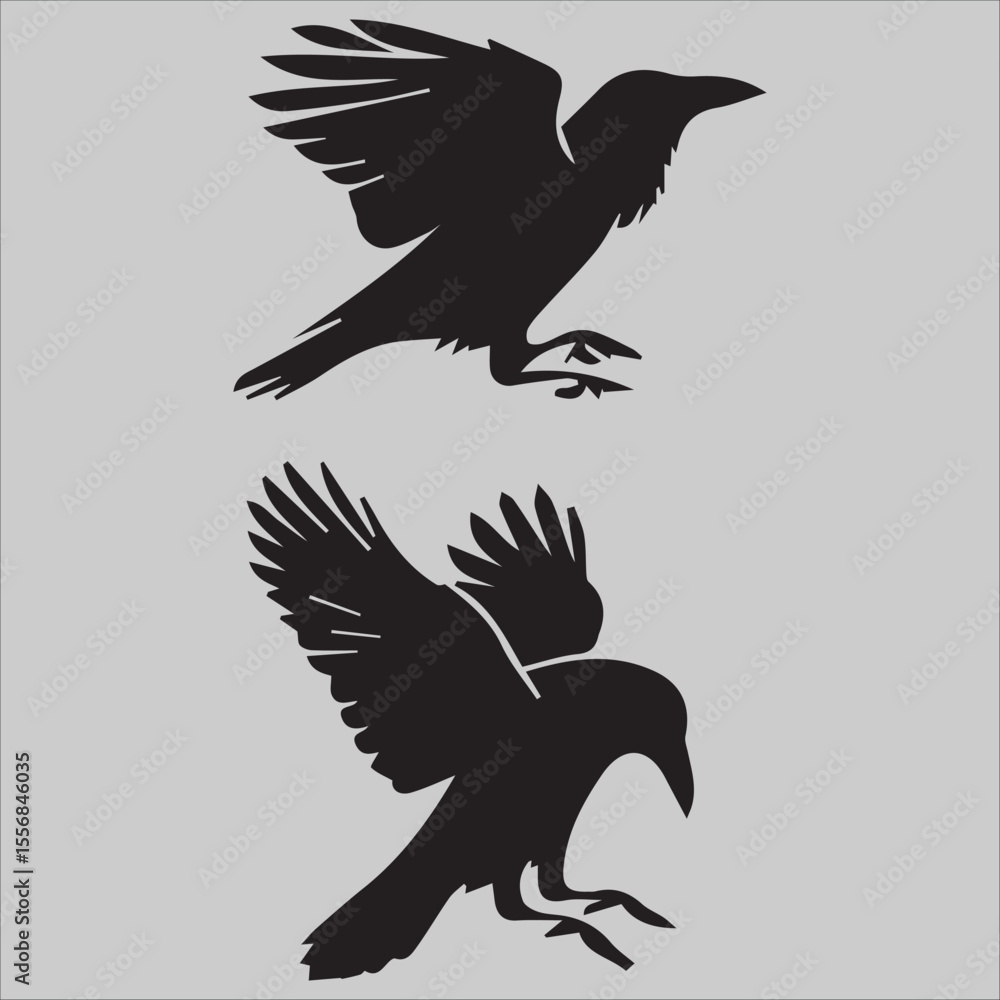 Obraz premium Majestic Raptor 