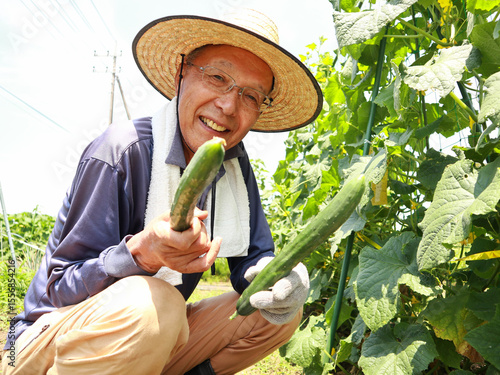 収穫したキュウリを持つ男性