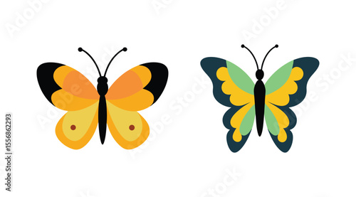 Butterfly vector illustration