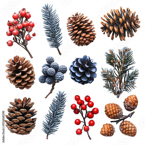 Collection of festive winter natural elements including pine cones frosted fir branches and red berries isolated on transparent background