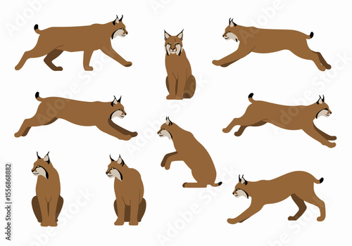 Set of Stylized Lynx Illustrations in Various Poses - Walking, Running, Sitting Wild Cat Collection