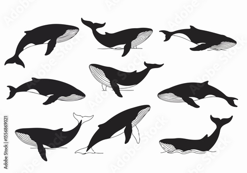 Set of black silhouette whale illustrations in various poses, swimming and diving, on a white background. Simple minimalist graphic style.