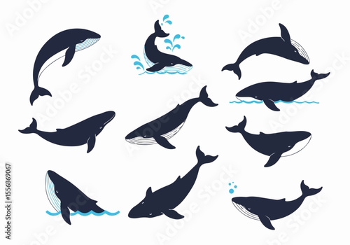 Simple Whales Silhouette Illustration Collection. Blue whale graphic set in various poses with water splashes and waves.