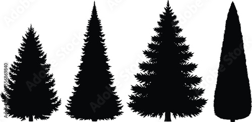 Four evergreen tree silhouettes of different shapes on white backdrop