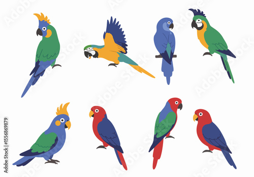 Colorful Set of Various Exotic Parrots in Flat Illustration Style on White Background