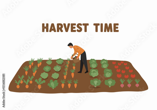 Illustration of a person harvesting carrots, cabbage, tomatoes, and radishes from a garden bed during harvest time.