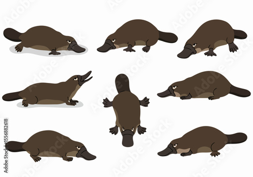 Collection of Platypus Illustrations in Various Poses