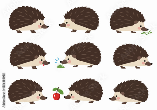 A collection of nine cute cartoon hedgehog illustrations showing different poses and actions on a white background.