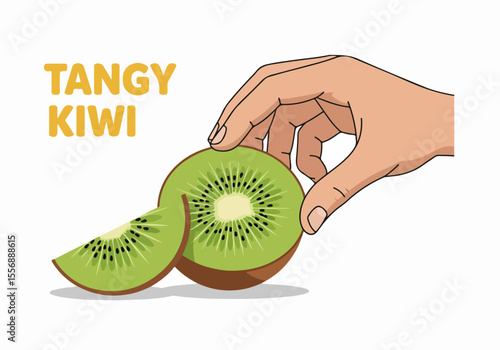 Illustrated hand holding a vibrant green sliced kiwi and a separate slice