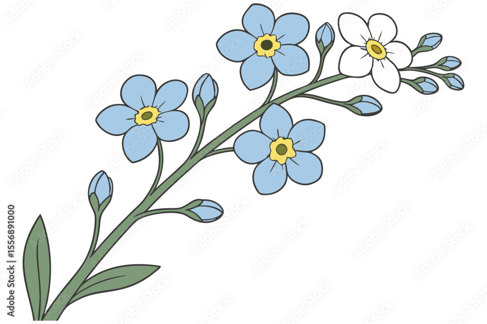 Fototapeta premium Forget Me Not Flower Simple Blue Petals Clipart