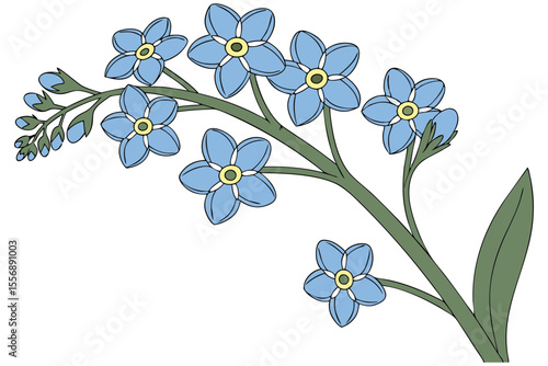 Forget Me Not Plant Delicate Blue Flower Art