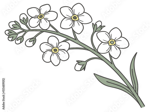 Forget Me Not Bloom Soft Floral Drawing