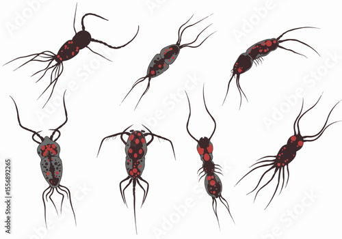 Illustrated group of dark microorganisms with red and gray spots and multiple appendages on a white background, depicting abstract biological forms or fictional microbes.