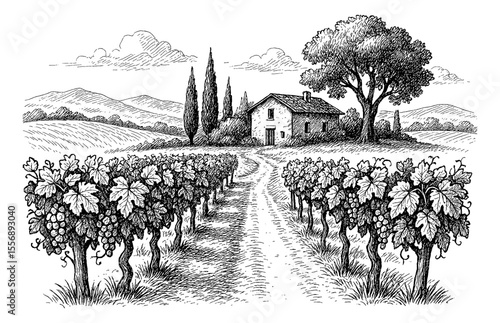 Illustration of Vineyard with House, Trees and Mountains in Background in Engrave Style
