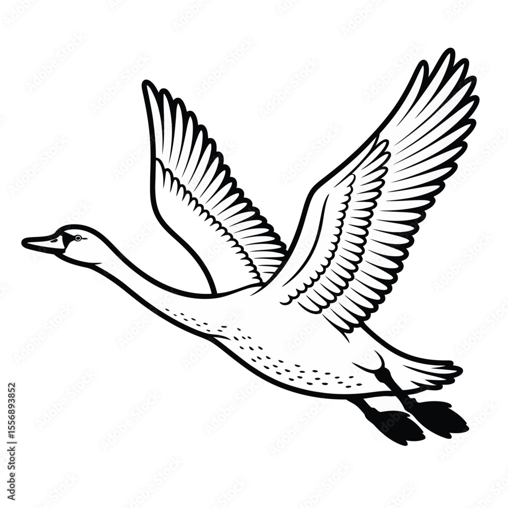 Obraz premium Black and white illustration of a flying swan with outstretched wings