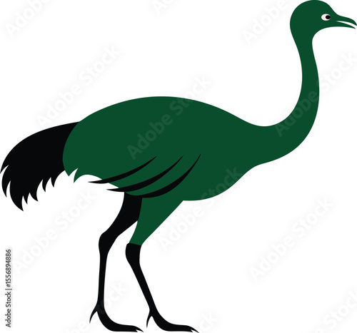 Majestic emu bird standing in natural habitat, large flightless bird, wildlife photography, Australian fauna, exotic bird, close-up emu portrait, nature background, wild emu animal