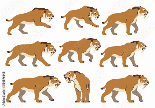 Flat Illustration Set of Saber-Toothed Tigers in Various Poses on White Background
