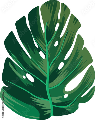 A vector illustration showcasing a single, vibrant green Monstera leaf against a white backdrop