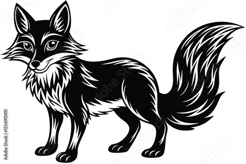 Graceful black fox with fluffy tail stands calmly outlined in white against plain background