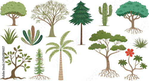 set of trees Flat Icon Set of Tree and Plant Species Diversity Conifers, Palms, Cacti, and Botanical Elements in Minimal Style on White Background.