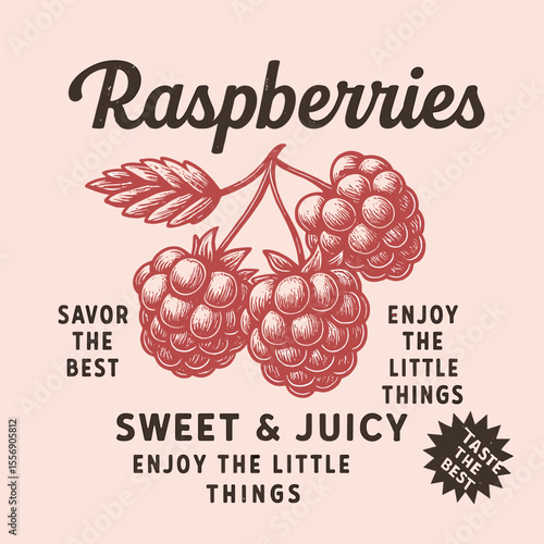 Raspberry vintage retro fruit graphic, summer food print design, girls trendy t-shirt, women's fashion fruit illustration