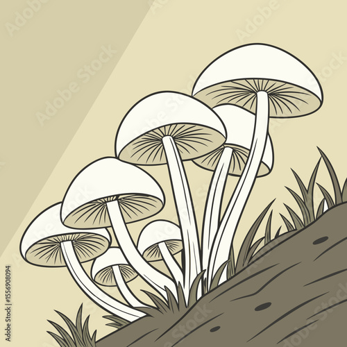 vector illustration of mushrooms