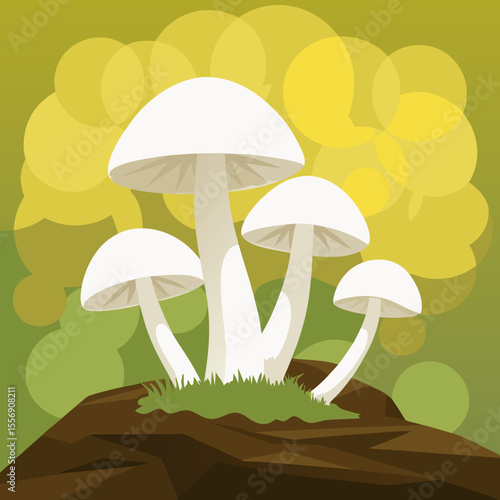 mushrooms in the forest