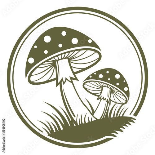 mushrooms in grass