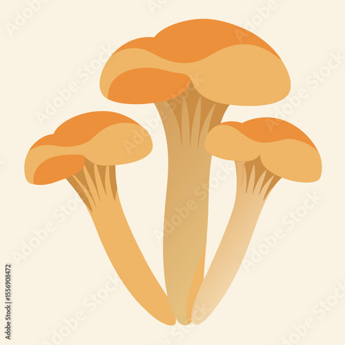 mushrooms isolated on white background