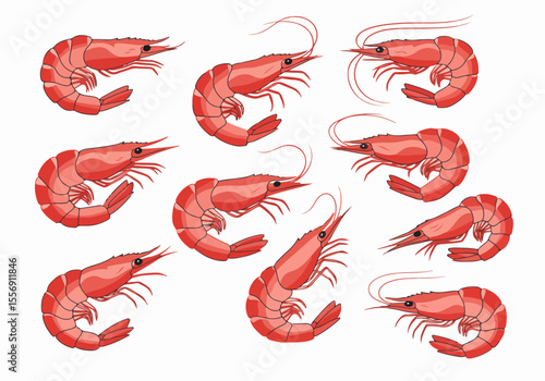 Vector Set of Cartoon Red Shrimps Isolated on White Background. Illustration of Fresh Seafood.