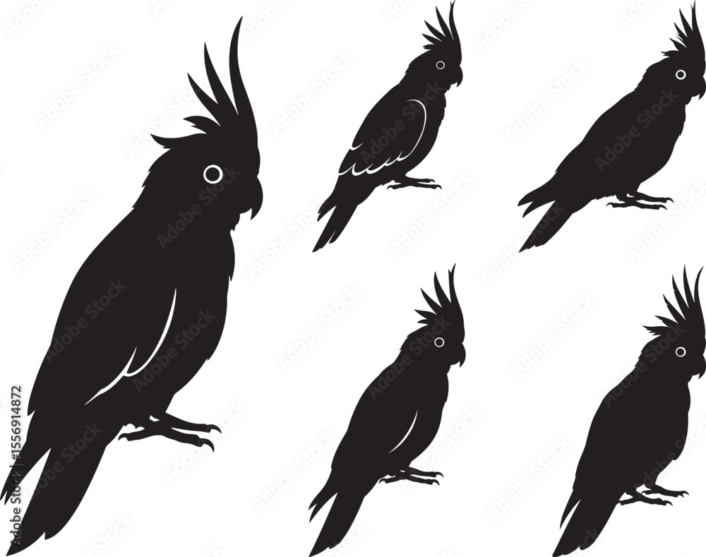 Obraz premium Cockatoo Bird Silhouette on White Background vector illustration