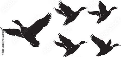 Flying Ducks Wildlife Silhouette on White Background vector illustration