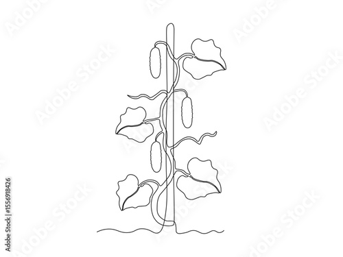 Abstract cucumber bush in the garden,on the farm,agriculture,cottage. continuous single one line art drawing sketch, logo