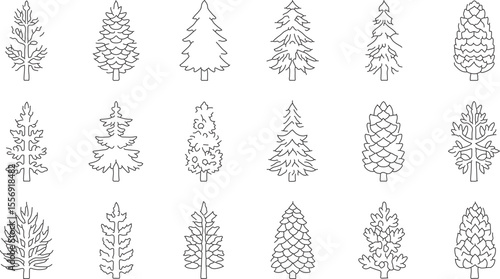  Conifers (Cone-bearing Trees) icons