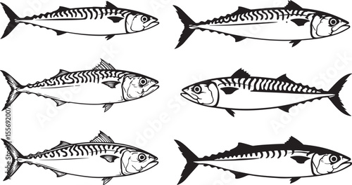 Mackerel Fish Icon Silhouette on White Background vector illustration