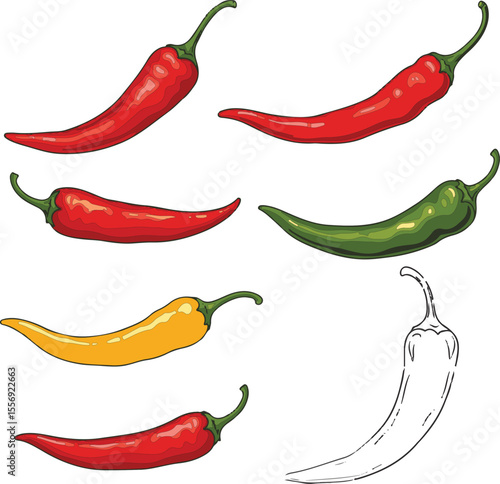 Colorful chili pepper vector illustration, mix of filled and outline style hot chilies, spicy vegetable design, red green yellow peppers clipart, vibrant food graphic for kitchen or packaging use