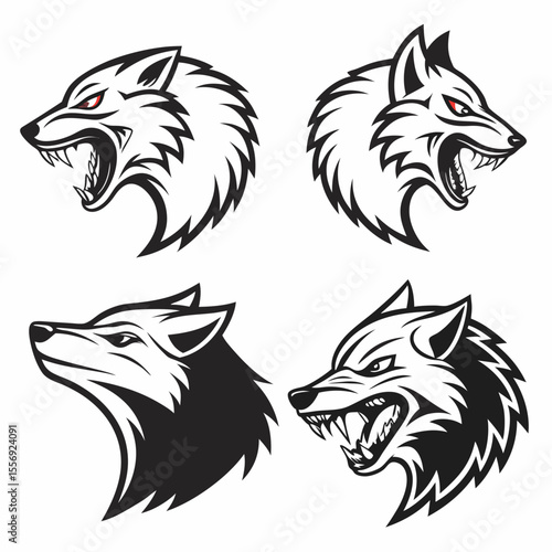 Fierce wolf heads snarling and looking sideways aggressive wild animal