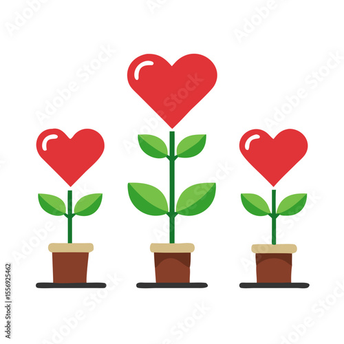 Three red heart plants growing in pots potted
