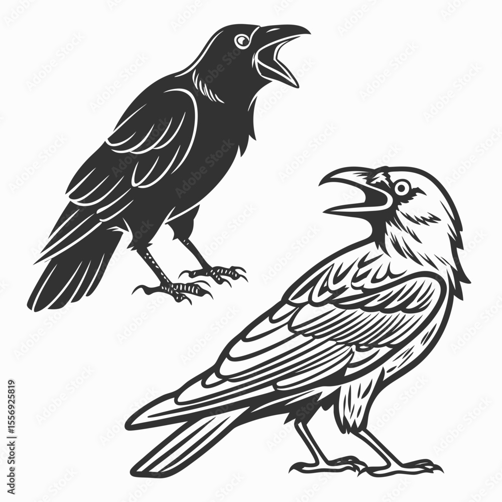 Obraz premium Black crows with open beaks on white background raven bird