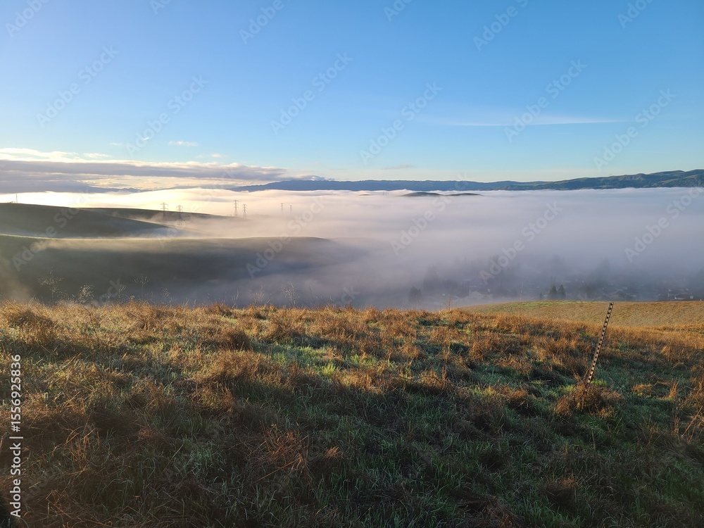Obraz premium Foggy undercast in the San Ramon Valley, California