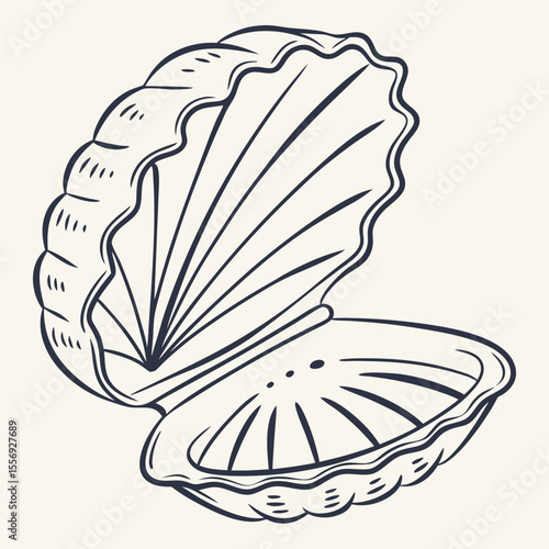 Open seashell with dark lines on cream background bivalve marine