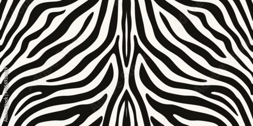 Obraz Abstract black and white zebra stripe pattern seamless background
