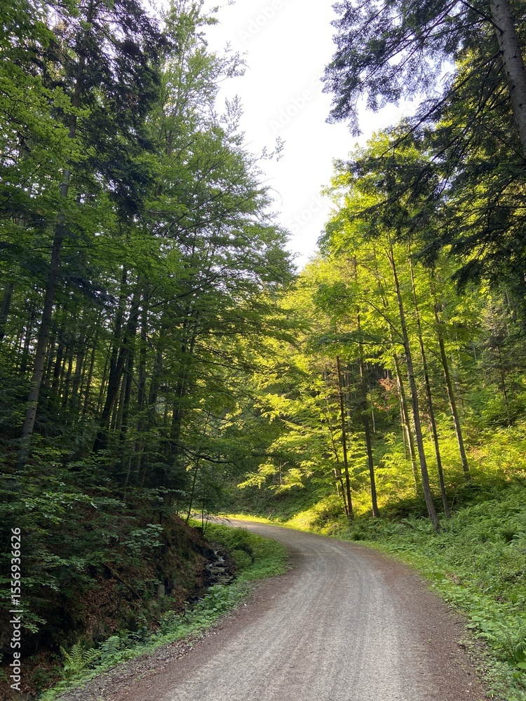 Obraz premium Polski lat niebo dużo zieleni