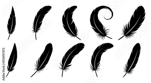 Set of detailed majestic feather collection. Bird Feather black silhouettes. Plumelet collection. Vector isolated on white