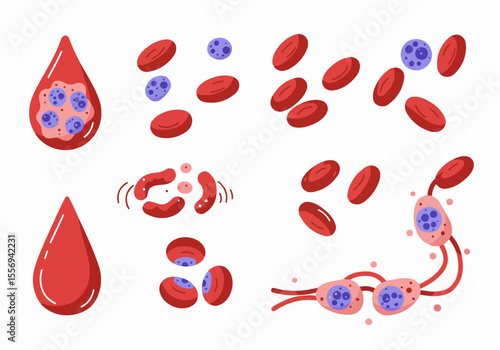 Illustration of Various Blood Cells and Structures Including Red Blood Cells, White Blood Cells, Capillaries, Lymph, and Sickle Cells