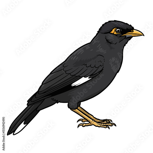 Illustration of a myna bird standing on its feet silhouette